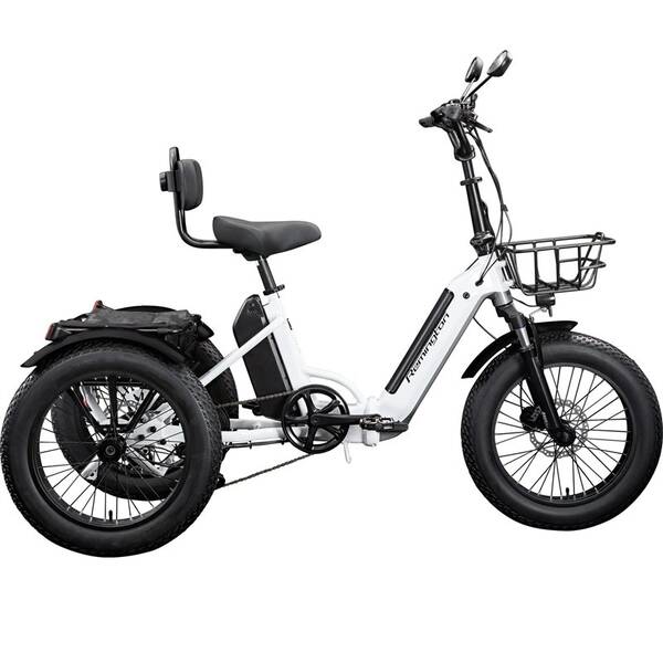 Elektrobicykel Remington Tricycle R100 biele

