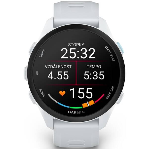 Inteligentné hodinky Garmin Forerunner 70 sivé

