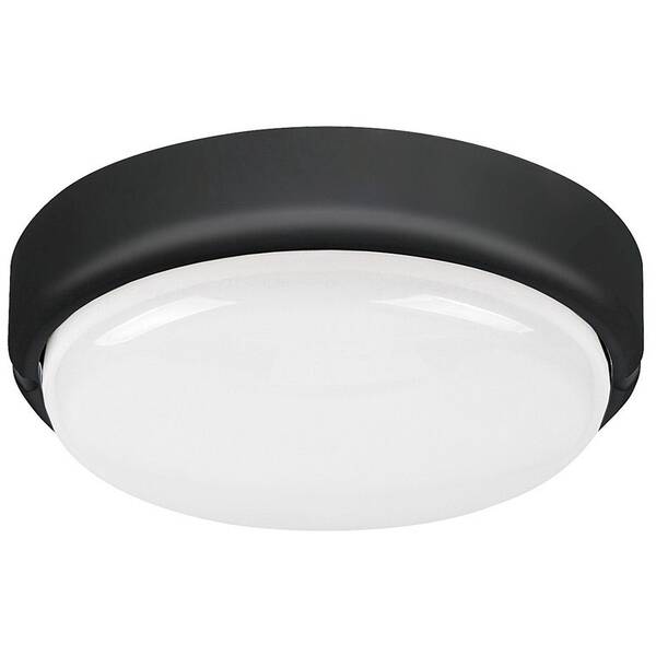 LED stropné svietidlo Rabalux Hort 7407 čierne

