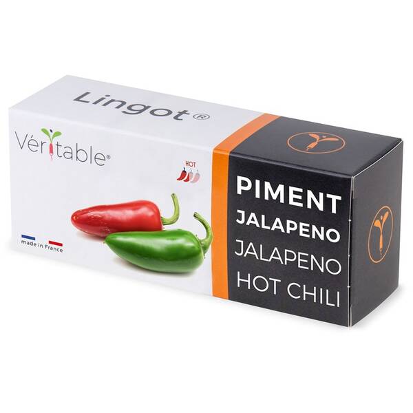 Semienka Véritable Lingot Jalapeño pálivé chilli 

