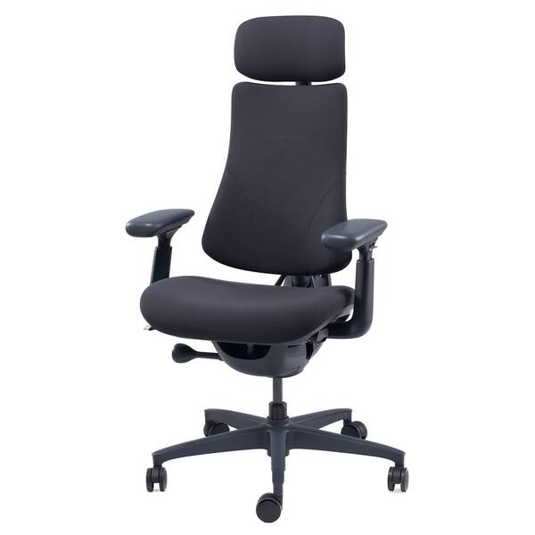 Ergonomická stolička LiberNovo Omni, 48 cm čierna

