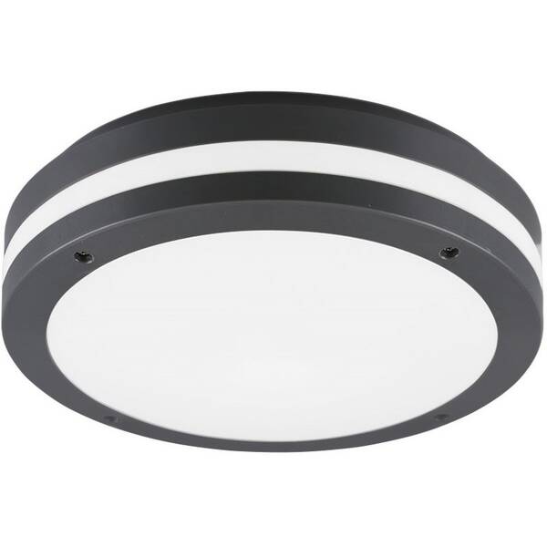 LED stropné svietidlo Reality Kendal - antracitové 

