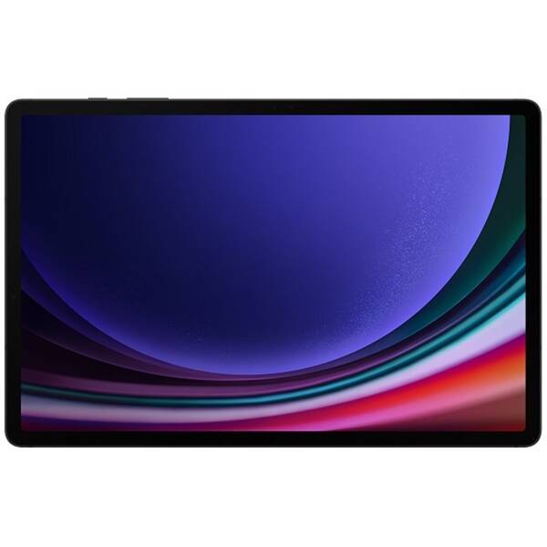 Tablet Samsung Galaxy Tab S9+ Wi-Fi 256 GB 

