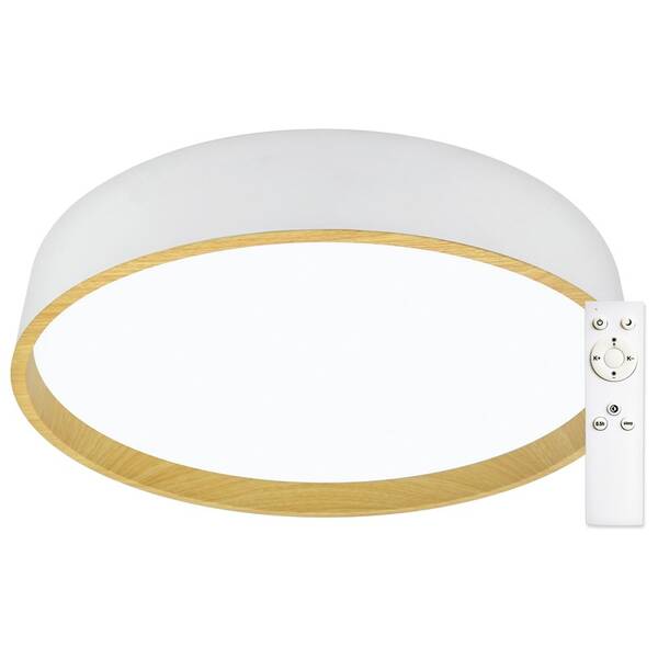 LED stropné svietidlo Top Light Dekor 40B RC biele

