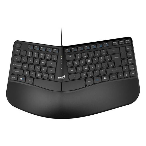 Klávesnica Genius Ergo KB-700, Copilot, CZ/SK layout čierna

