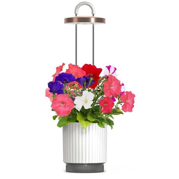 Inteligentný kvetináč Click and Grow HydroVase biely

