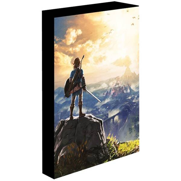Dekoratívne LED Epee LED obraz 30×40 cm Zelda 

