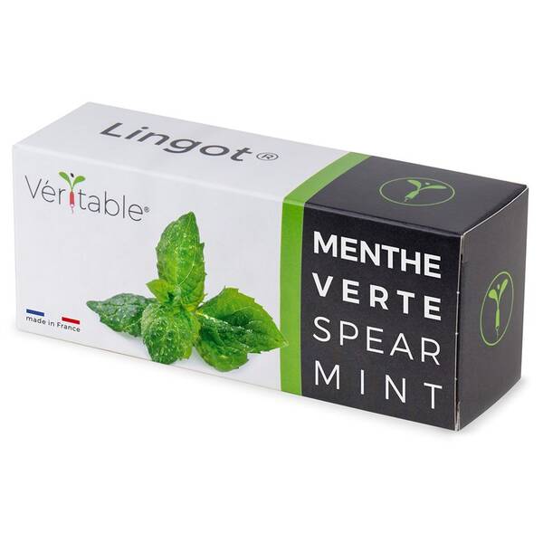 Semienka Véritable Lingot Mäta klasnatá 

