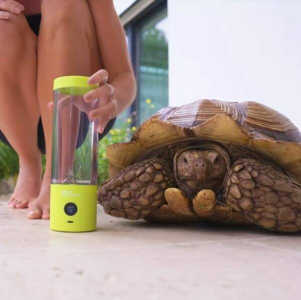 Stolný mixér FitStream Pro Cooper