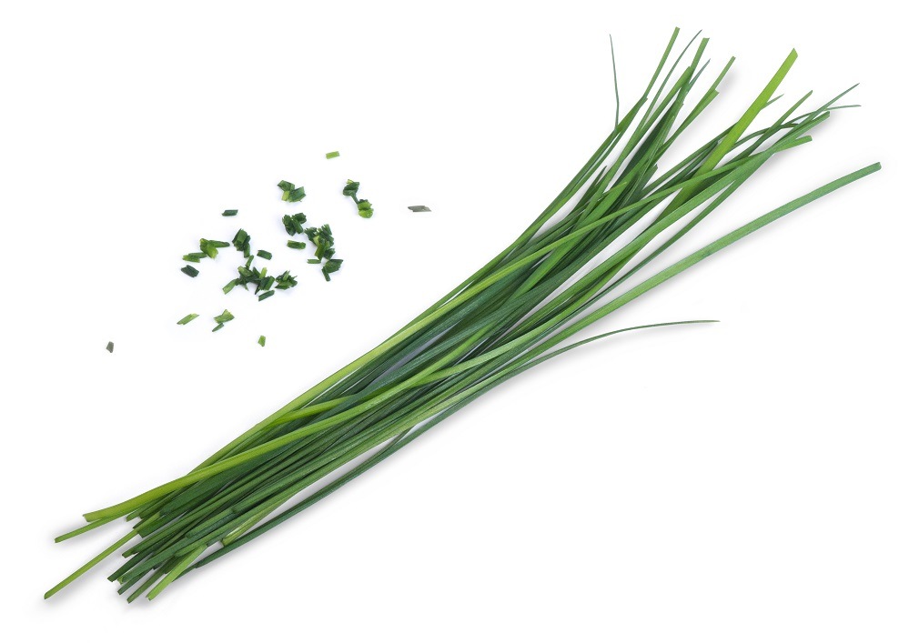 Semienka Véritable Lingot Čínska pažítka - BIO Zozbieraná čínska pažítka vypestovaná v kvetináči (záhradke) Véritable