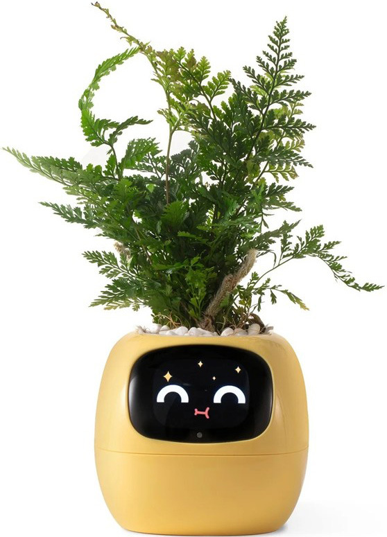 Chytrý kvetináč Plantsio IVY - žltá