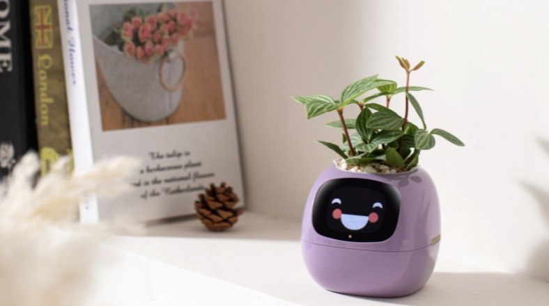Inteligentný kvetináč Plantsio IVY fialový Chytrý kvetináč Plantsio IVY - fialová