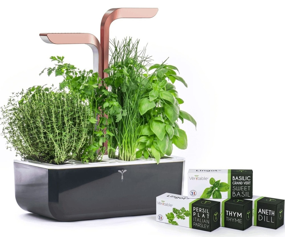 Chytrý kvetináč Véritable SMART s ukážkou sadeníc