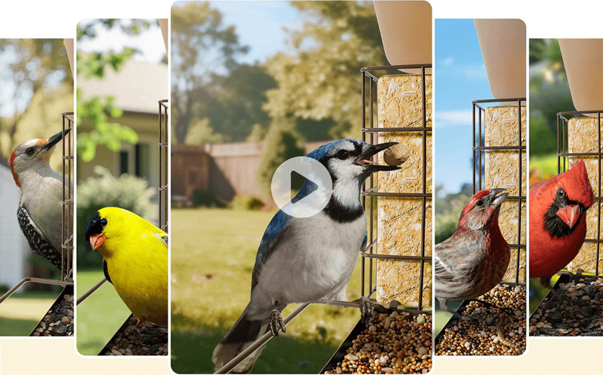 Vtáčie krmítko Birdfy Metal V, kovové s kamerou a solárnym panelom (AI predplatné) hnedý Vtáčie krmítko Birdfy Metal V, kovové s kamerou a solárnym panelom (AI predplatné) - hnedé