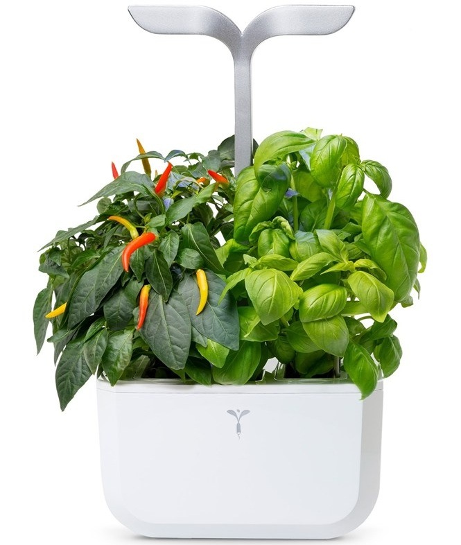 Chytrý kvetináč Véritable Exky SMART s vypestovanými bylinkami