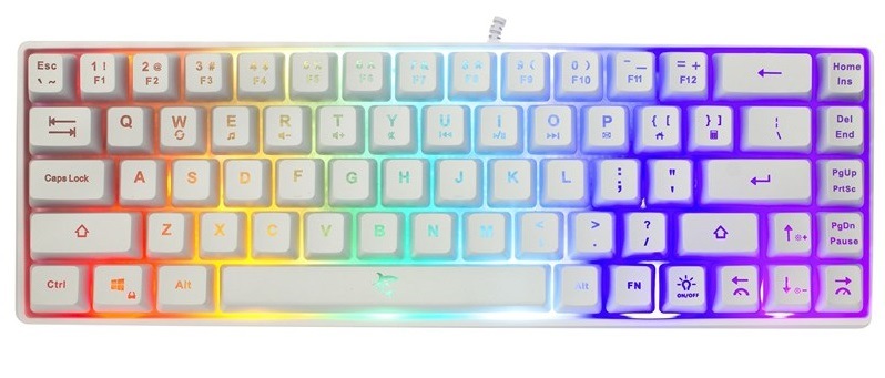 Klávesnica White Shark RONIN, US layout biela