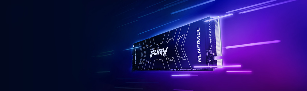 FURY Renegade NVMe Heatsink