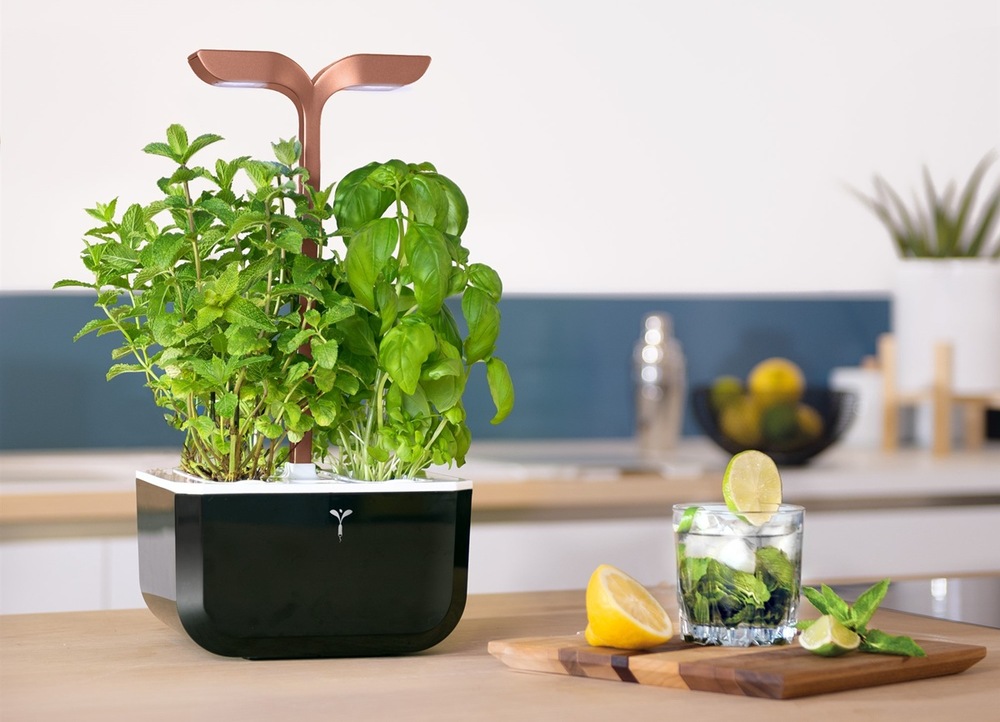 Inteligentný kvetináč Véritable Exky SMART čierny/medený Chytrý kvetináč Véritable Exky SMART v reálnej kuchyni
