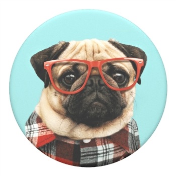 PopSockets PopGrip Gen. 2, Studios Stu