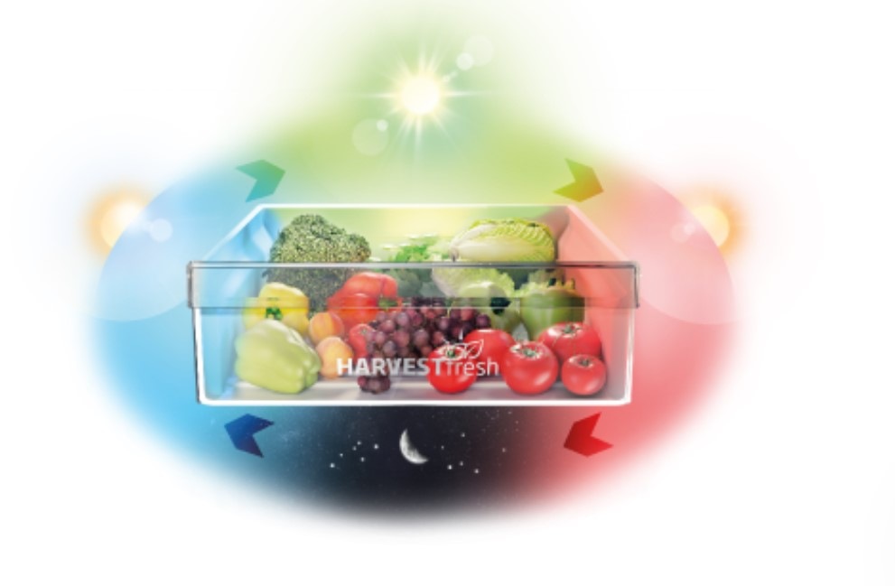 Chladnička kombinovaná Beko B5RCNA406HW1, harvestfresh