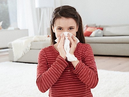 Filtre pre vysávače Miele HEPA AirClean SF-HA 30 Filtre pre vysávače Miele HEPA AirClean SF-HA 30
