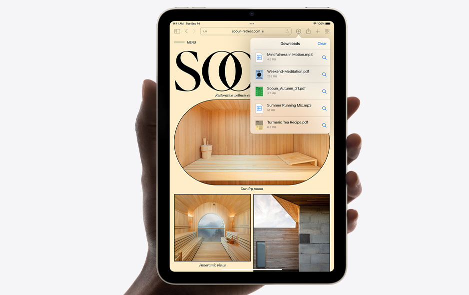 Tablet Apple iPad mini (2021) Wi-Fi + Cellular 64GB - ružový