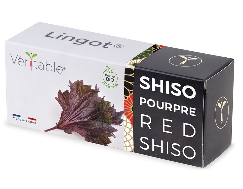 Semienka Véritable Lingot Fialový shiso BIO