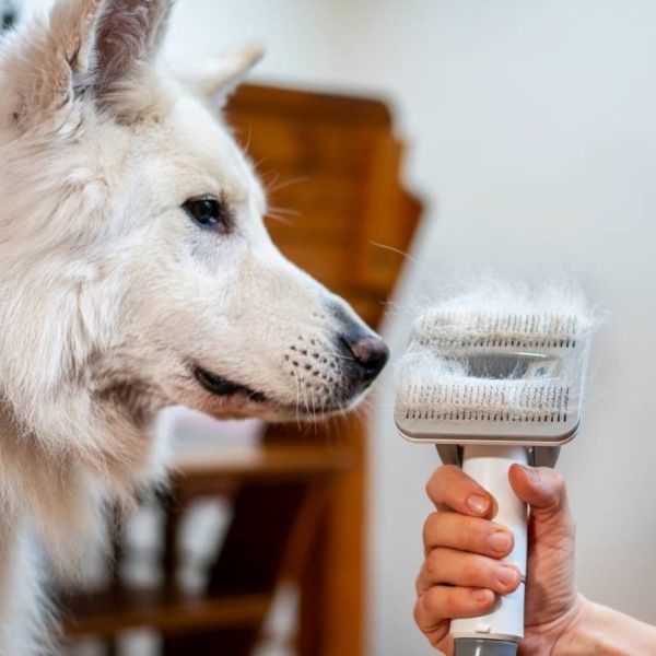 Teslá PetCare Station Pro TQ500