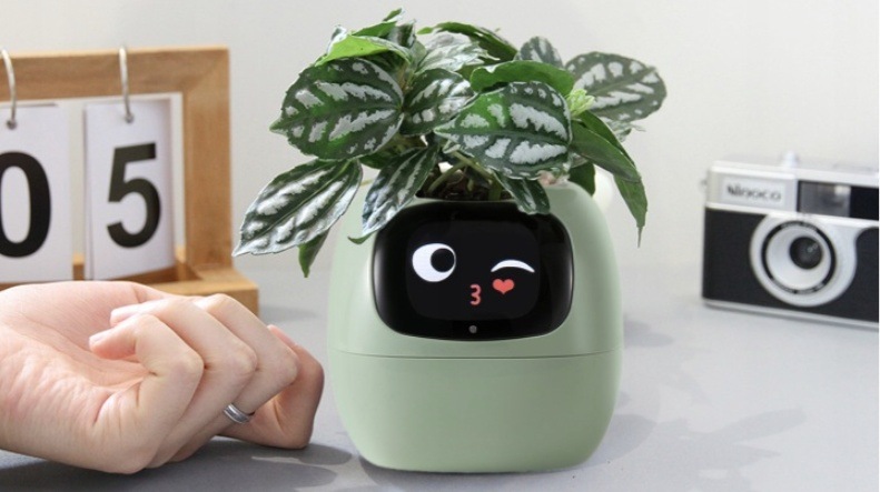Chytrý kvetináč Plantsio IVY - zelený