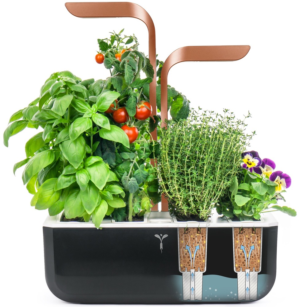 Chytrý kvetináč Véritable SMART s vypestovanými bylinkami