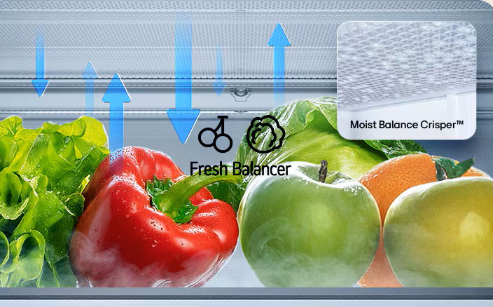 Chladnička s mrazničkou LG GBBS312BEV čierna Zásuvky Fresh Balancer udržujú ideálnu vlhkosť, vďaka čomu ovocie a zelenina zostávajú dlhšie šťavnaté a kvalitné.