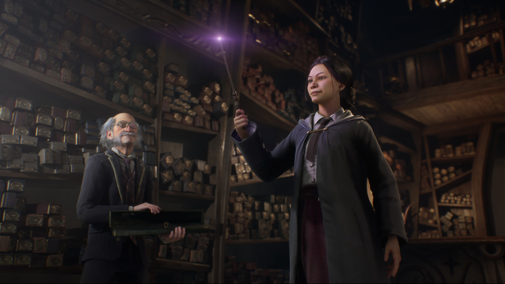 Hra Warner Bros PlayStation 4 Hogwarts Legacy Hogwarts Legacy