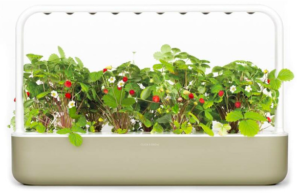 Chytrý kvetináč Click and Grow Smart Garden 9 - béžový
