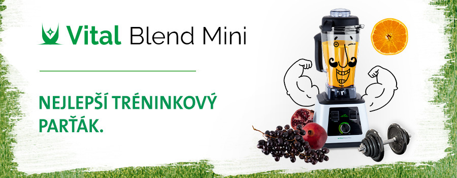 Stolný mixér ETA Vital Blend Mini 2100 90000 čierny/zelený