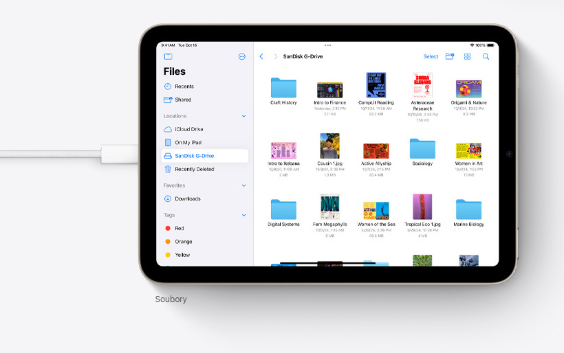 Tablet Apple iPad mini (2024) Wi-Fi + Cellular 128 GB - modrý „“