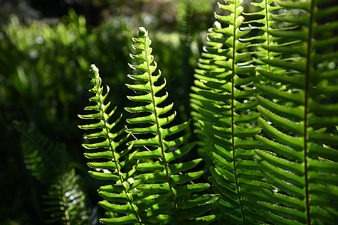 Objektív Nikon NIKKOR Z 14-30 mm f/4 S čierny Objektív Nikon NIKKOR Z 14-30 mm f/4 S čierny