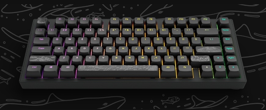 Klávesnica Dark Project ALU Terra Nostra R2, US čierna
