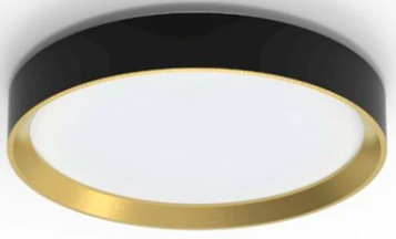 Okrúhle stropné svietidlo Philips Hanno SS RD 24 W 27 K B_G s integrovaným LED zdrojom