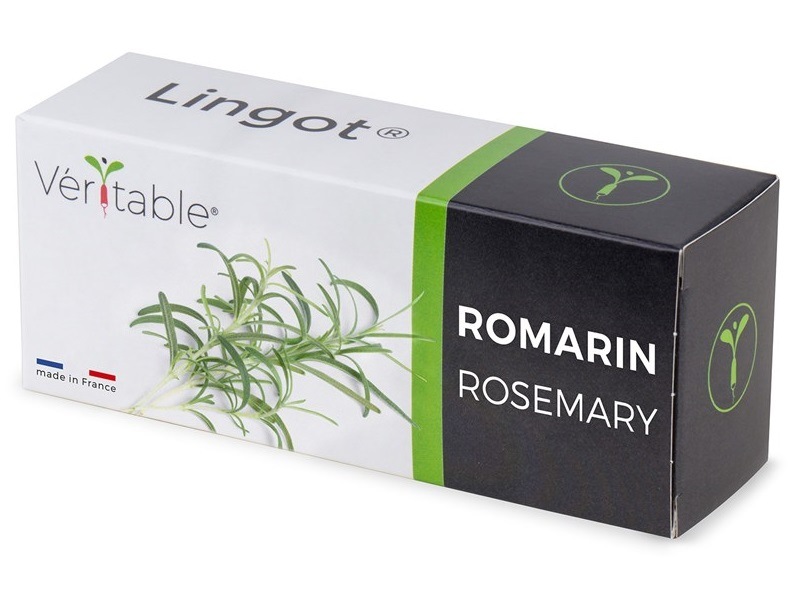 Semienka Véritable Lingot Rozmarín