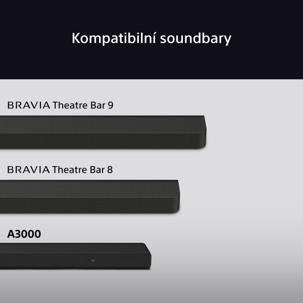 Reproduktory Sony SA-RS8 ( 2 ks) čierny Reproduktory Sony SA-RS8
