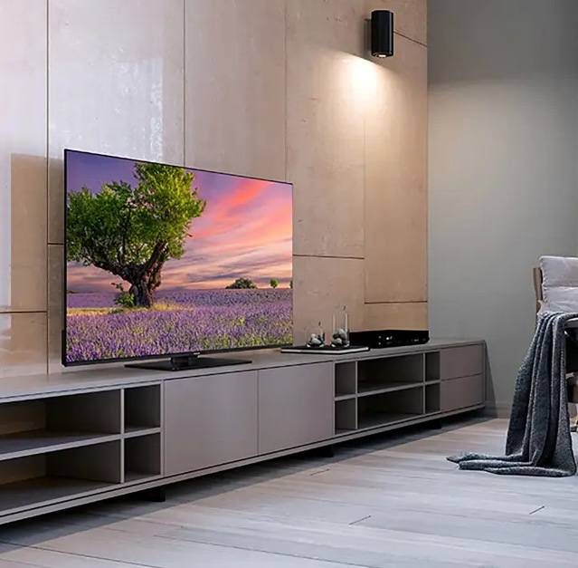 Televízor Panasonic TB-55W60AEZ