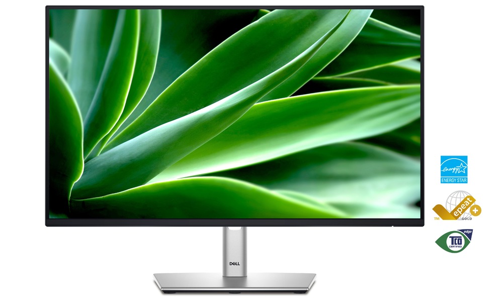 Dell Professional P2225H