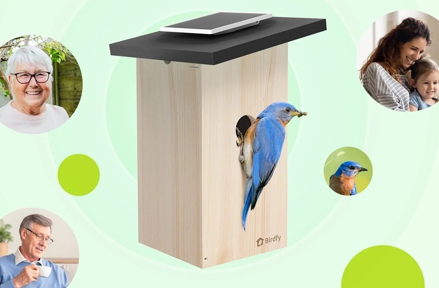 Vtáčia búdka Birdfy Ebony s kamerou (AI predplatné) Detail obrázku búdky s vtáčikom a vizualizácia zdieľania s rodinnými príslušníkmi.