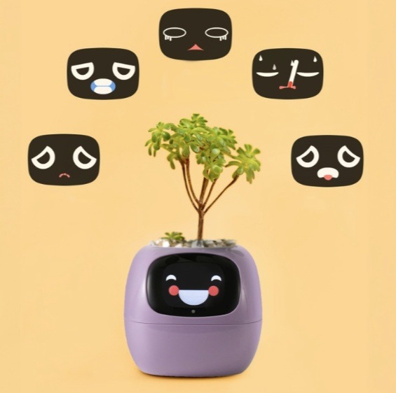 Inteligentný kvetináč Plantsio IVY fialový Chytrý kvetináč Plantsio IVY - fialová