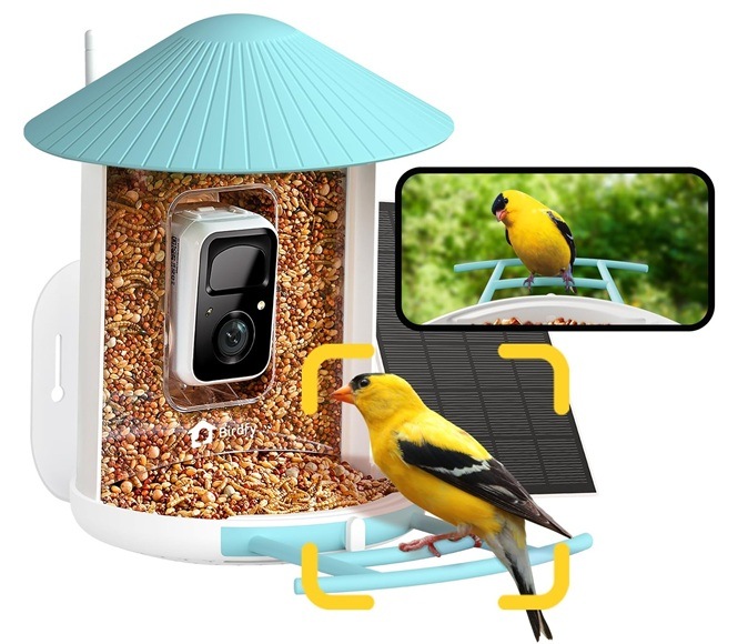 Vtáčie krmítko Birdfy s kamerou a solárnym panelom (AI predplatné) Detail obrázku kŕmidla s mobilným telefónom.