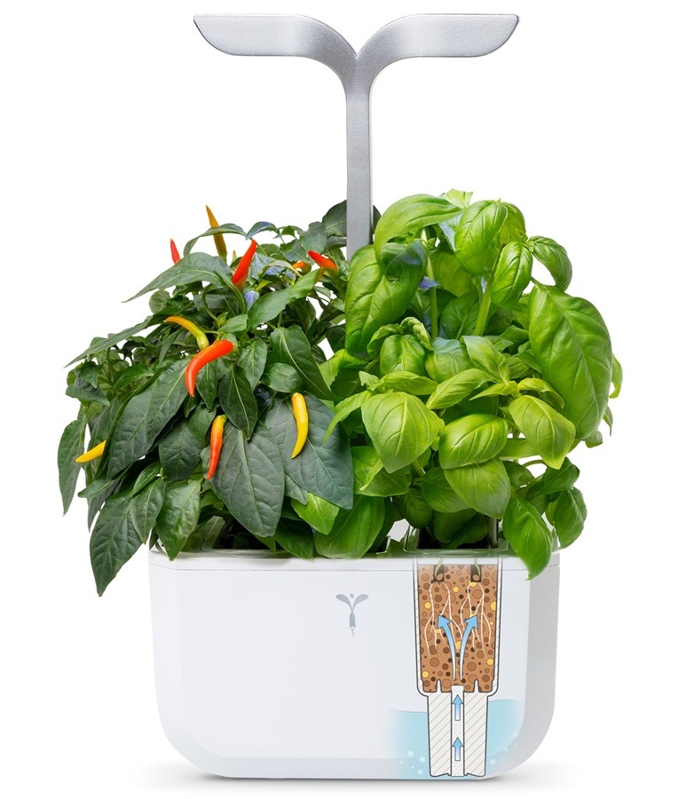 Inteligentný kvetináč Véritable Exky SMART biely Chytrý kvetináč Véritable Exky SMART s vypestovanými bylinkami