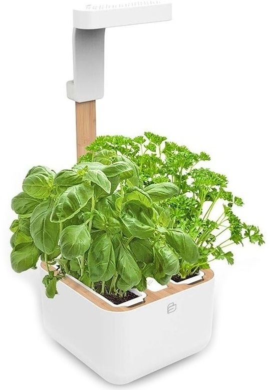 Chytrý kvetináč Véritable BOTANEO s vypestovanými bylinkami