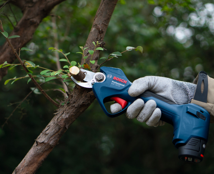Bosch Professional GGP 12V-25 pri presnom reze vetvy na strome v záhrade