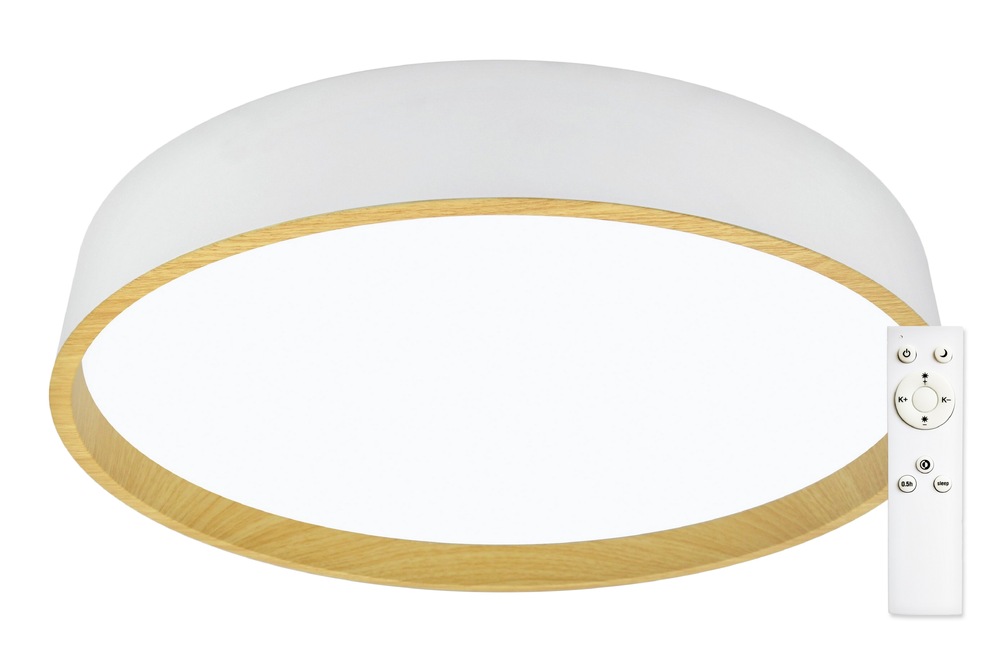 LED stropné svietidlo Top Light Dekor 50B RC biele Stropné svietidlo Top Light Dekor 50B RC - biele