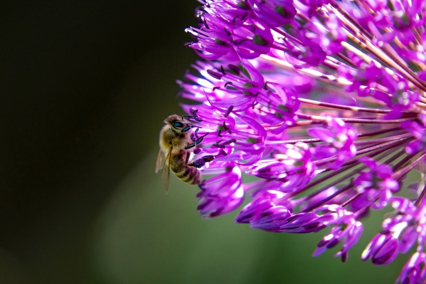 Tamrón 18 – 300 mm f/3.5 – 6.3 Di III-A VC VXD (Nikon Z), čierna